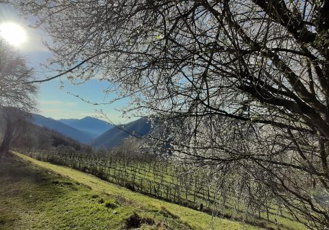 Punta Almana da Gardone Val Trompia - foto 8