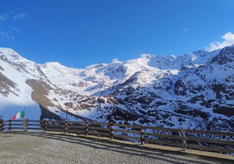 Panorama sul ghiacciaio dei Forni dal Rifugio Branca