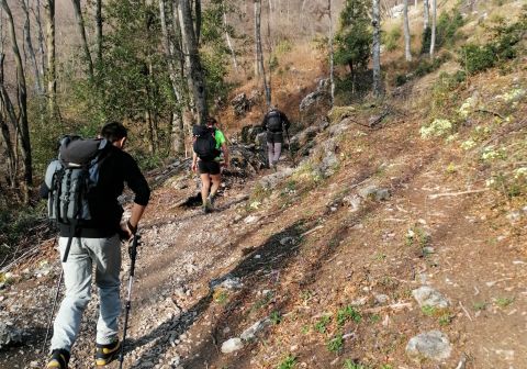 Resegone - Sentiero delle Creste - foto 1