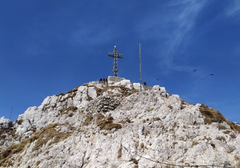 Resegone - Sentiero delle Creste - foto 16