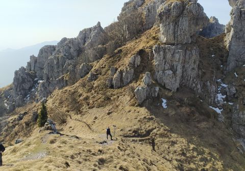 Resegone - Sentiero delle Creste - foto 10