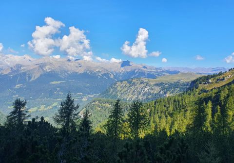 Rifugio Alimonta - foto 11