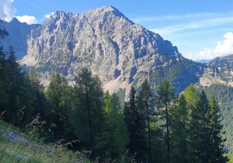 Rifugio Alimonta - foto 13