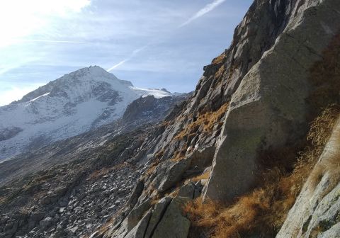 Rifugio Carè Alto e Cima Pozzoni - foto 22