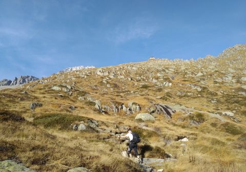 Rifugio Carè Alto e Cima Pozzoni - foto 5
