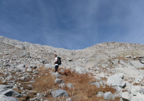 Rifugio Carè Alto e Cima Pozzoni - foto 11