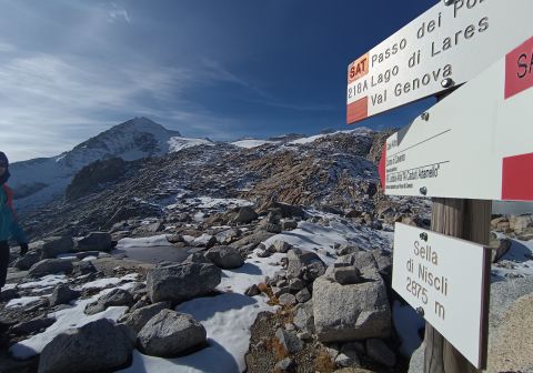 Rifugio Carè Alto e Cima Pozzoni - foto 12