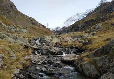 Rifugio Curò e Rifugio Barbellino - foto 17