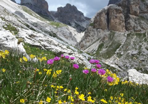 Rifugio Passo Santner - foto 18