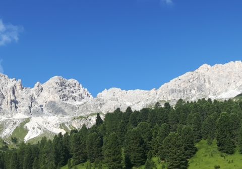 Rifugio Passo Santner - foto 3