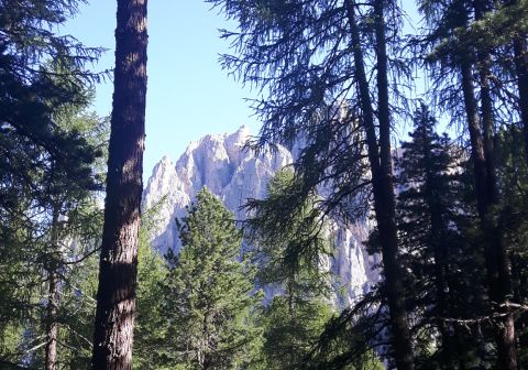Rifugio Passo Santner - foto 5