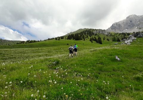 Rifugio Rino Olmo e Signore dei Ghiaioni - foto 5