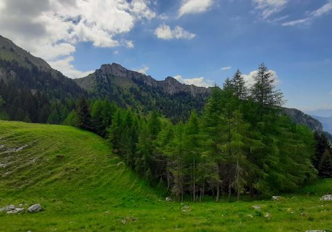Rifugio Rino Olmo e Signore dei Ghiaioni - foto 4
