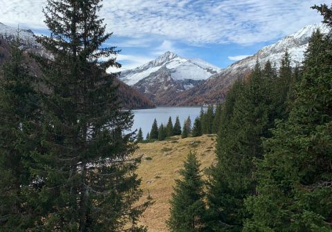 Rifugio Val di Fumo - foto 8