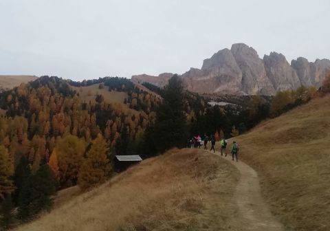 Sass Rigais - foto 5