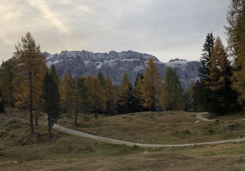 Sass Rigais - foto 2