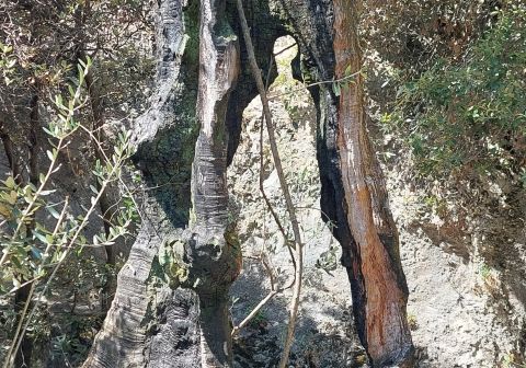 Sentiero dei Contrabbandieri - Massimiliano Torti - foto 24