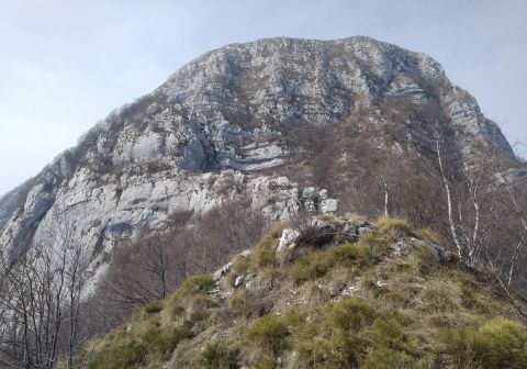Parete Nord del Monte Pizzocolo dal Corno della Sera