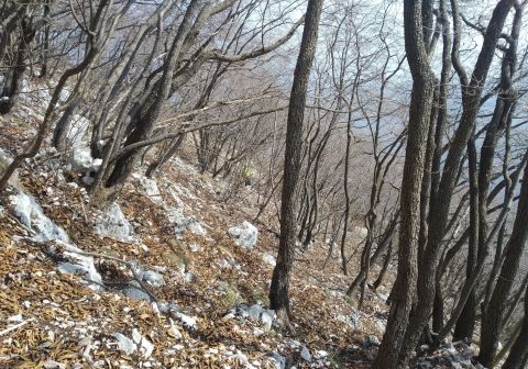 Sentiero dei Tre Amici - Monte Pizzocolo - foto 10