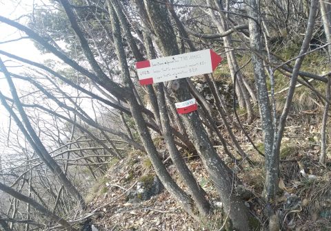 Sentiero dei Tre Amici - Monte Pizzocolo - foto 4