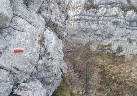 Sentiero dei Tre Amici - Monte Pizzocolo - foto 15