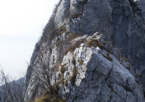 Sentiero dei Tre Amici - Monte Pizzocolo - foto 13