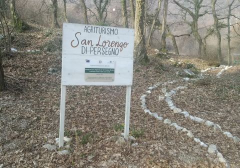 Sentiero dei Tre Amici - Monte Pizzocolo - foto 1