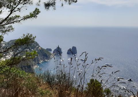 I faraglioni