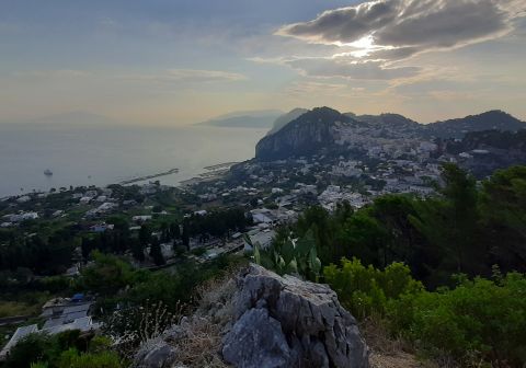 Punto panoramico nel bosco di lecci, in lontananza il Vesuvio