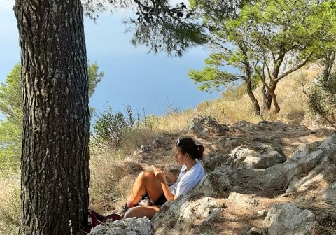La pausa all'ombra di un maestoso pino