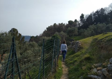 In discesa tra i muretti dei terrazzamenti