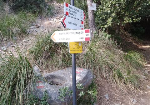 Sentiero Walter Bonatti - Portovenere  - foto 5