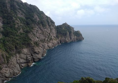 Cala dell'Oro