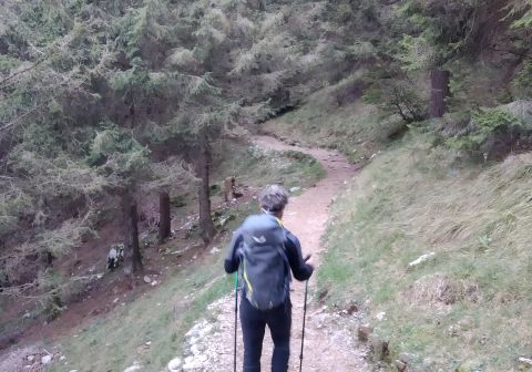 Sentiero verso la baita Cassinelli