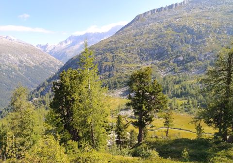 Tre passi in Val di Fumo - foto 3