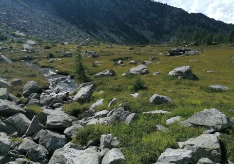 Tre passi in Val di Fumo - foto 17