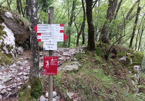 Via ferrata Gerardo Sega - foto 3