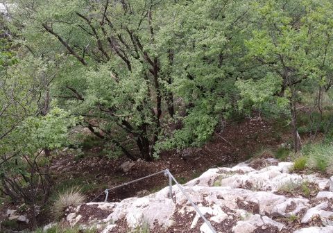 Ultimo tratto verticale