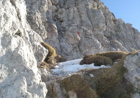 Zuccone Campelli e Zucco Pesciola - Invernale - foto 16