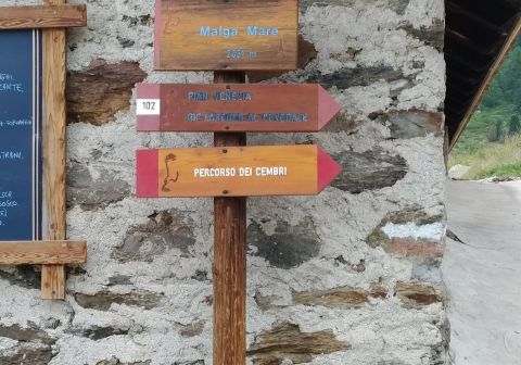 Malga Mare