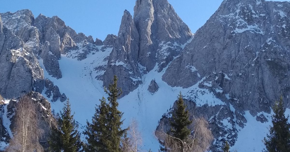 Cimon della Bagozza - Canale del Lupo - Invernale - FPL