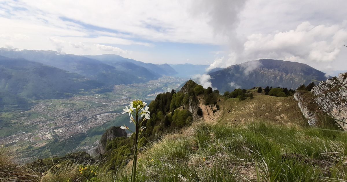 Valmontone, montano due dossi artificiali, ma al risveglio gli abitanti ne  ritrovano solo uno. E' caccia ai colpevoli