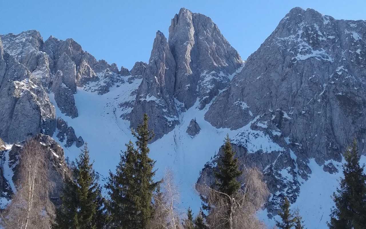 Cimon della Bagozza - Invernale
