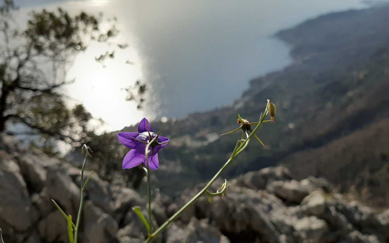 Eremo di San Valentino (giro ad anello)