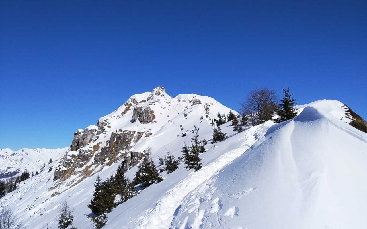 Monte Ario