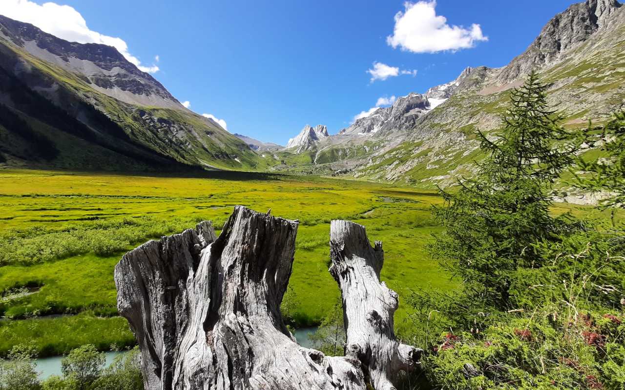 Piccolo Monte Bianco