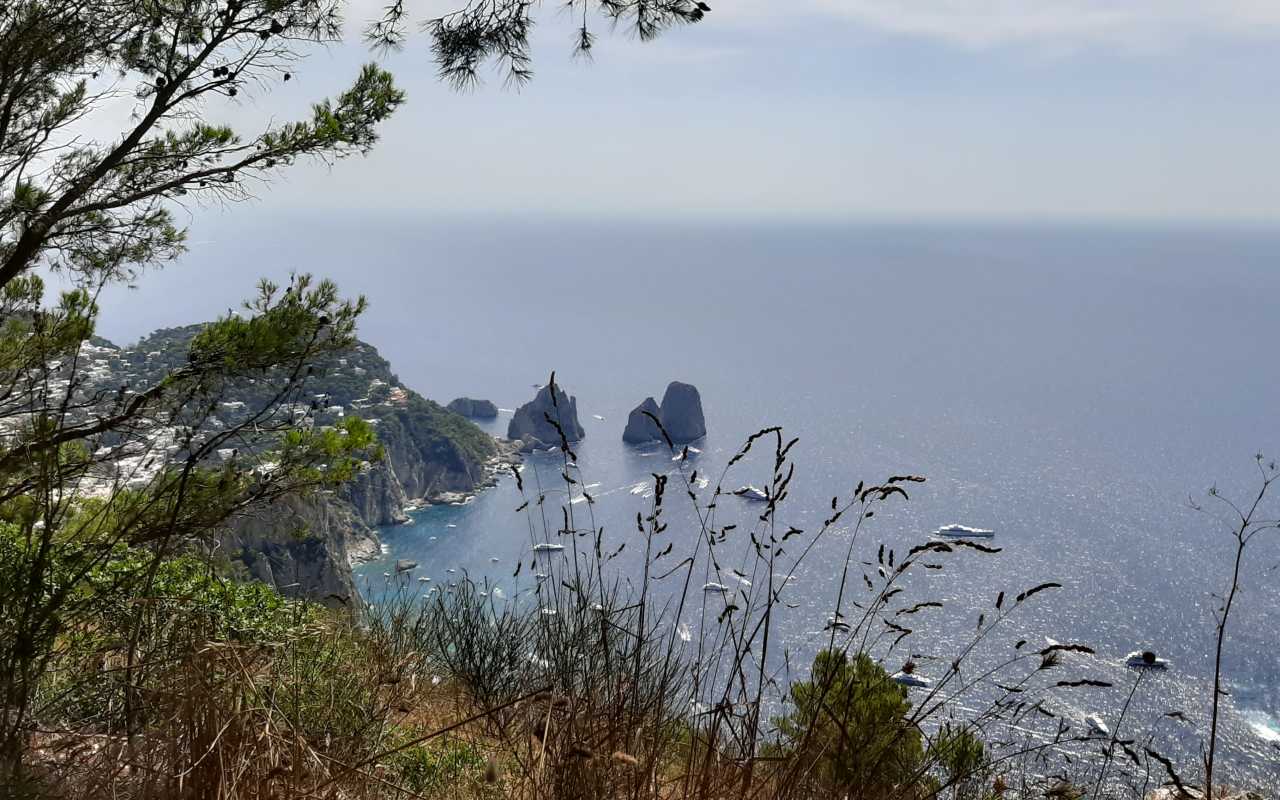 Sentiero del Passetiello - Capri