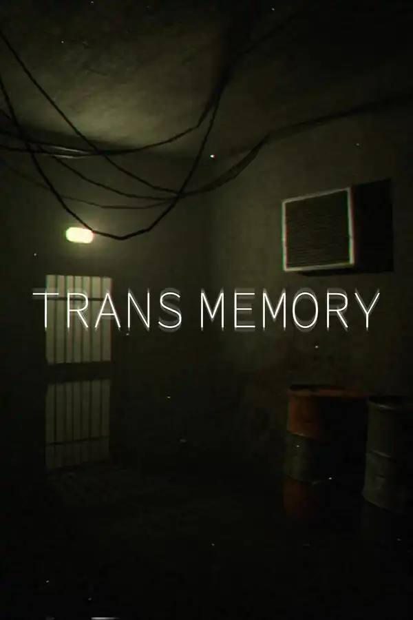 TransMemory