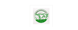 Mancap