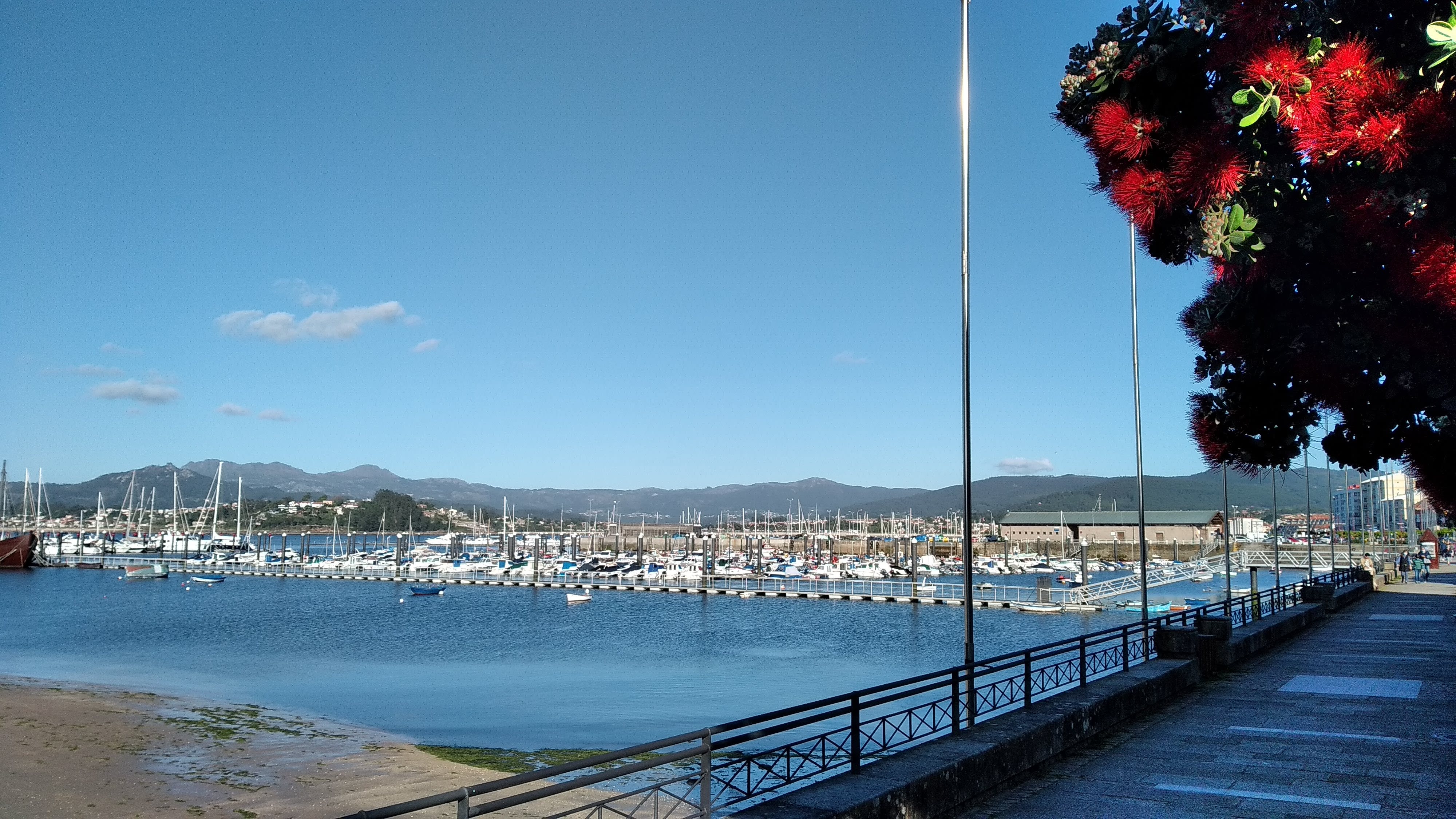 Baiona y Vigo